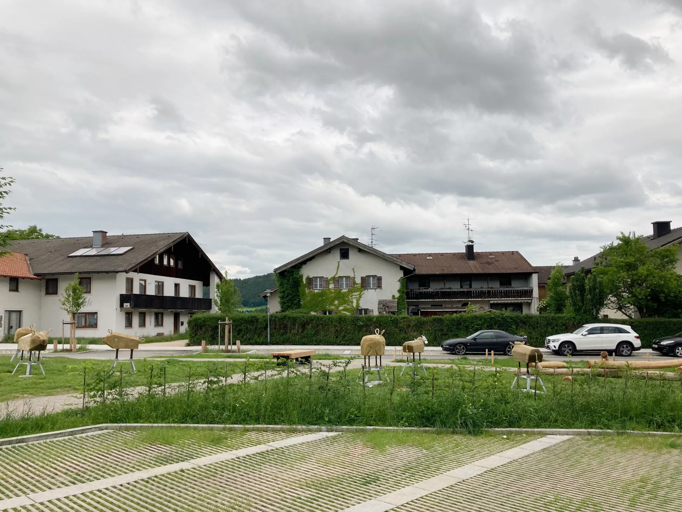 IMG_1275 bearbeitet