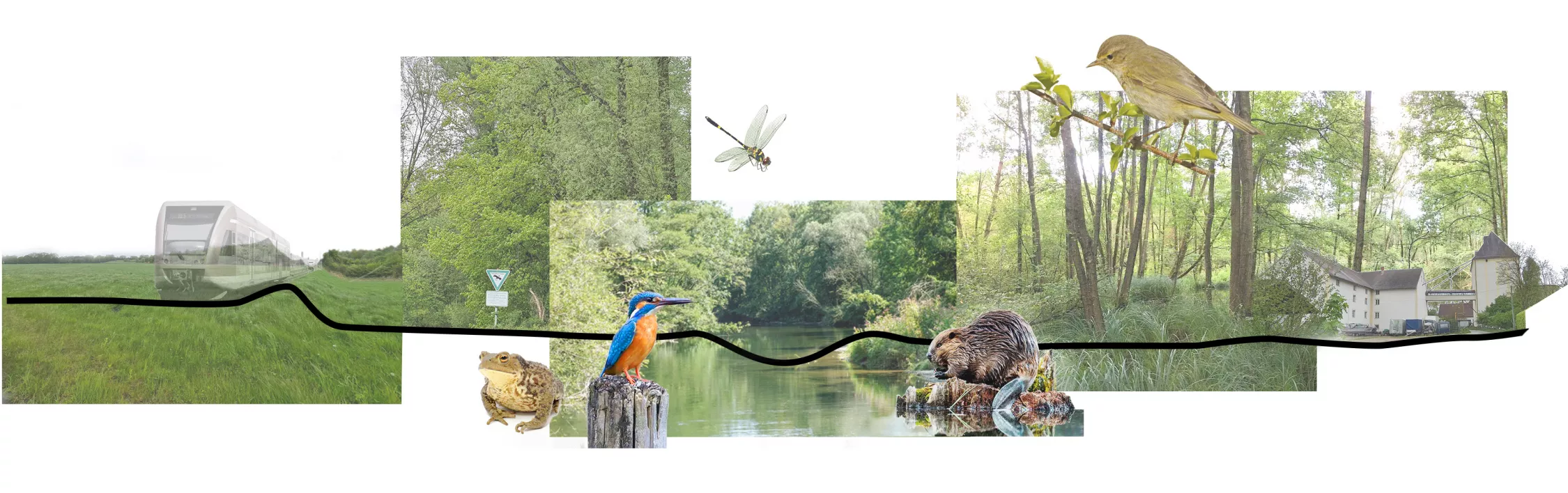 Landschaftsschnitt Ampertal